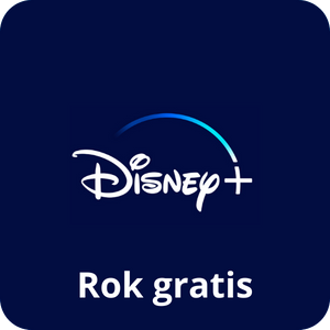 Disney+ na rok