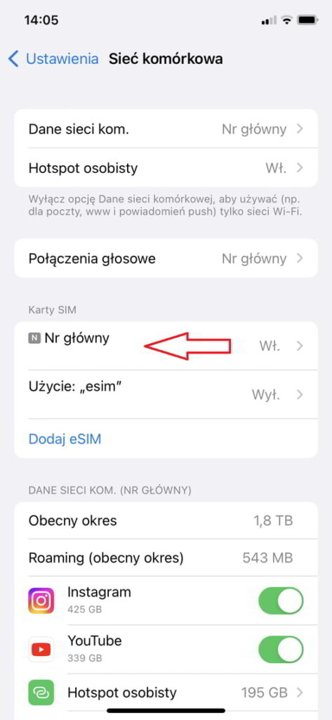 Przywracanie ustawień APN w iPhone krok 2